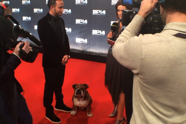 Gli auguri di Natale di Hamilton e... del suo cane