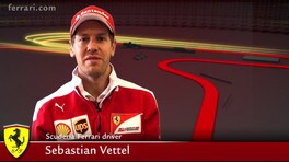 Vettel, i dolci ricordi ungheresi