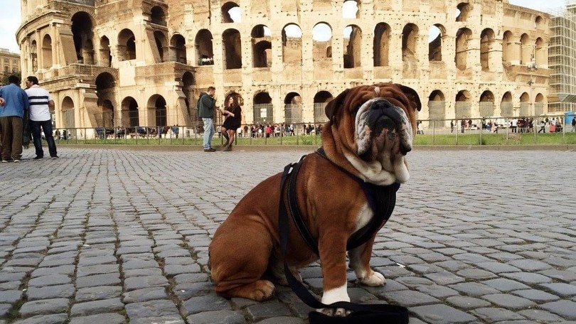 I piloti di Formula 1 fotografi per beneficenza