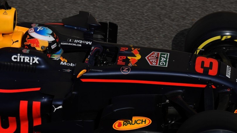 Ricciardo, l'importanza di scegliere bene