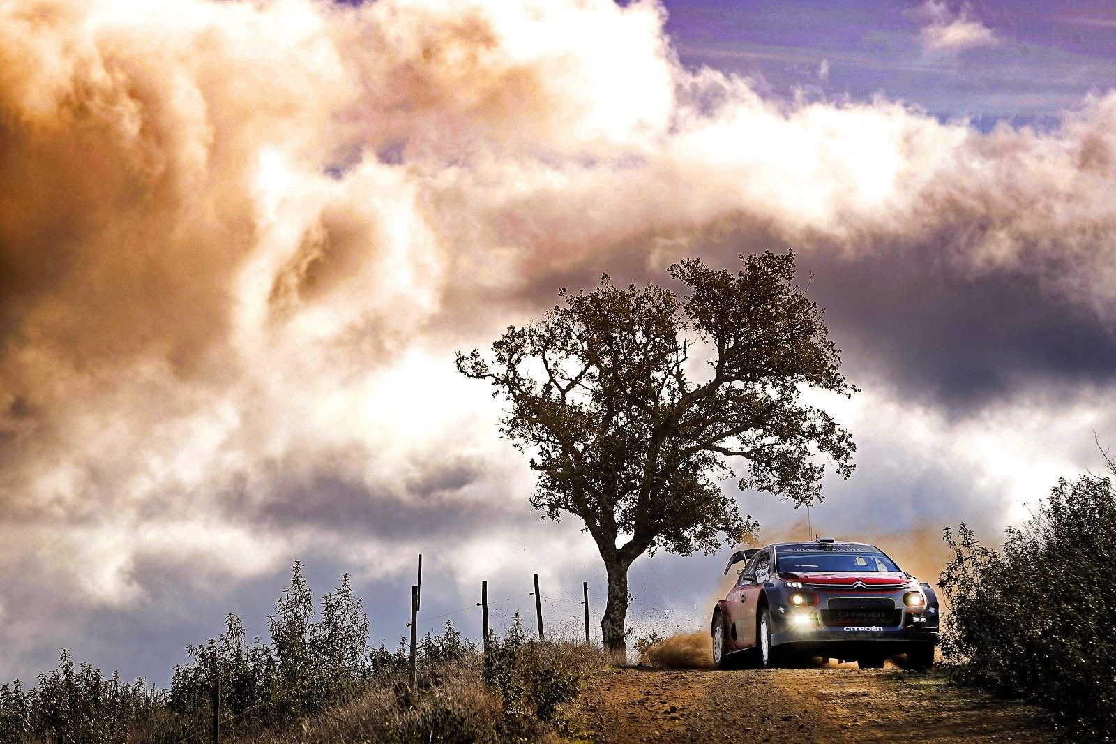 Calendario WRC 2019, il Consiglio Mondiale FIA ufficializza le 14 tappe