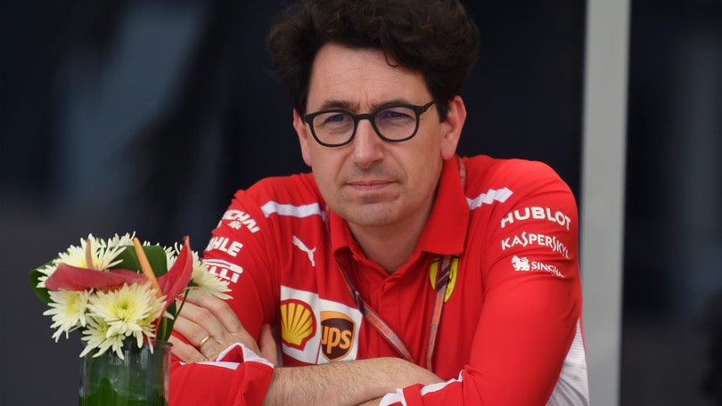 D'Agostino: "Binotto risolve i problemi, non li crea"