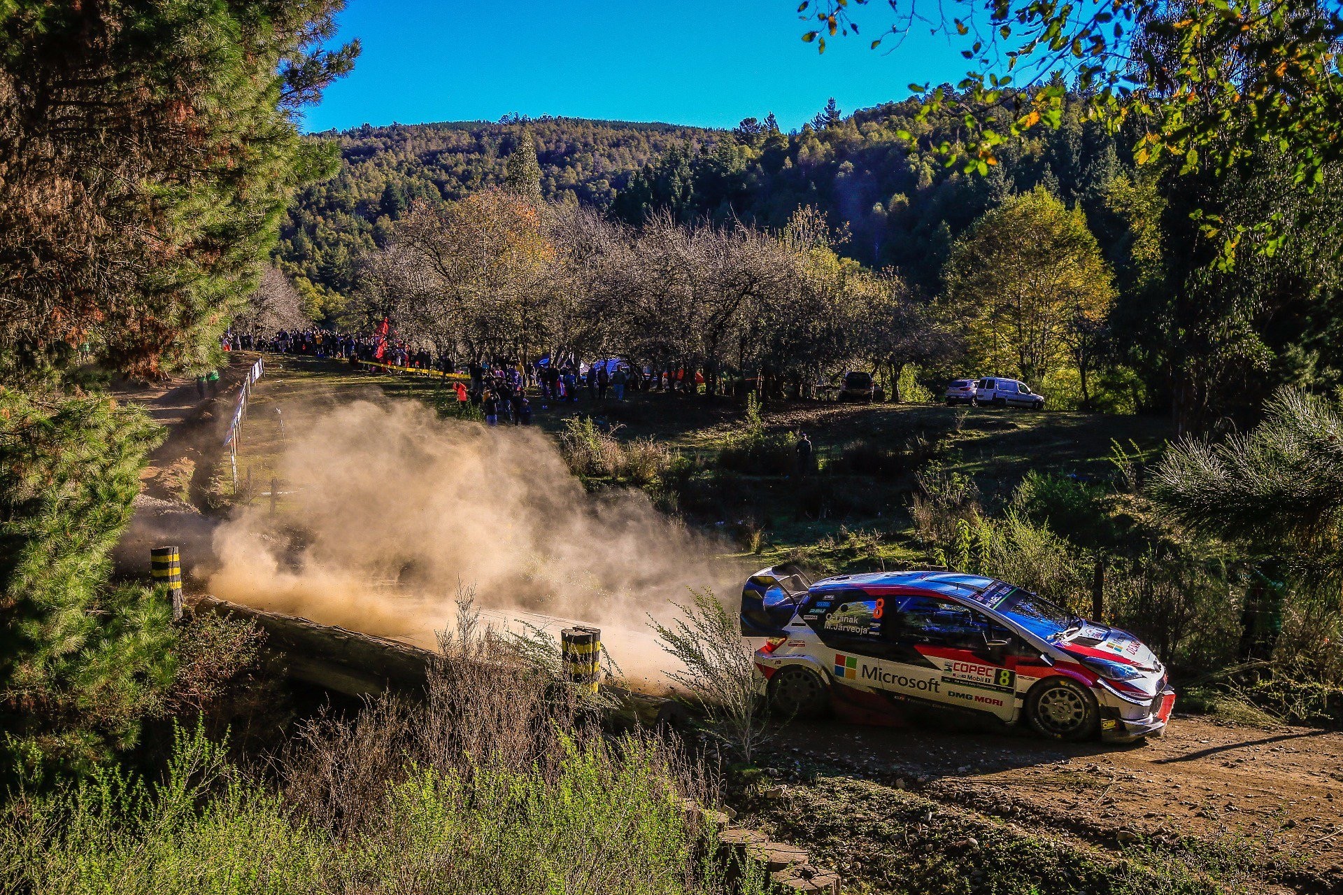 WRC, Rally del Cile: Tanak allunga