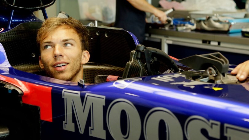 Gasly, GP Belgio: "Darò il massimo per la Toro Rosso"