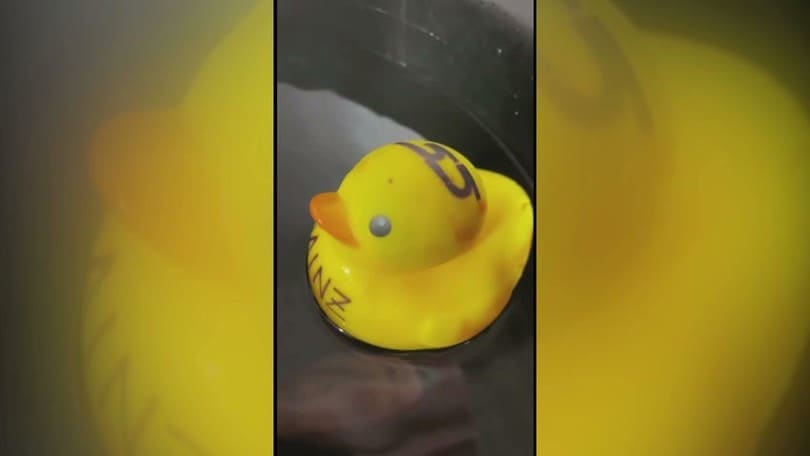 Paperella e acqua gelida! Così Carlos Sainz si è preparato alla gara