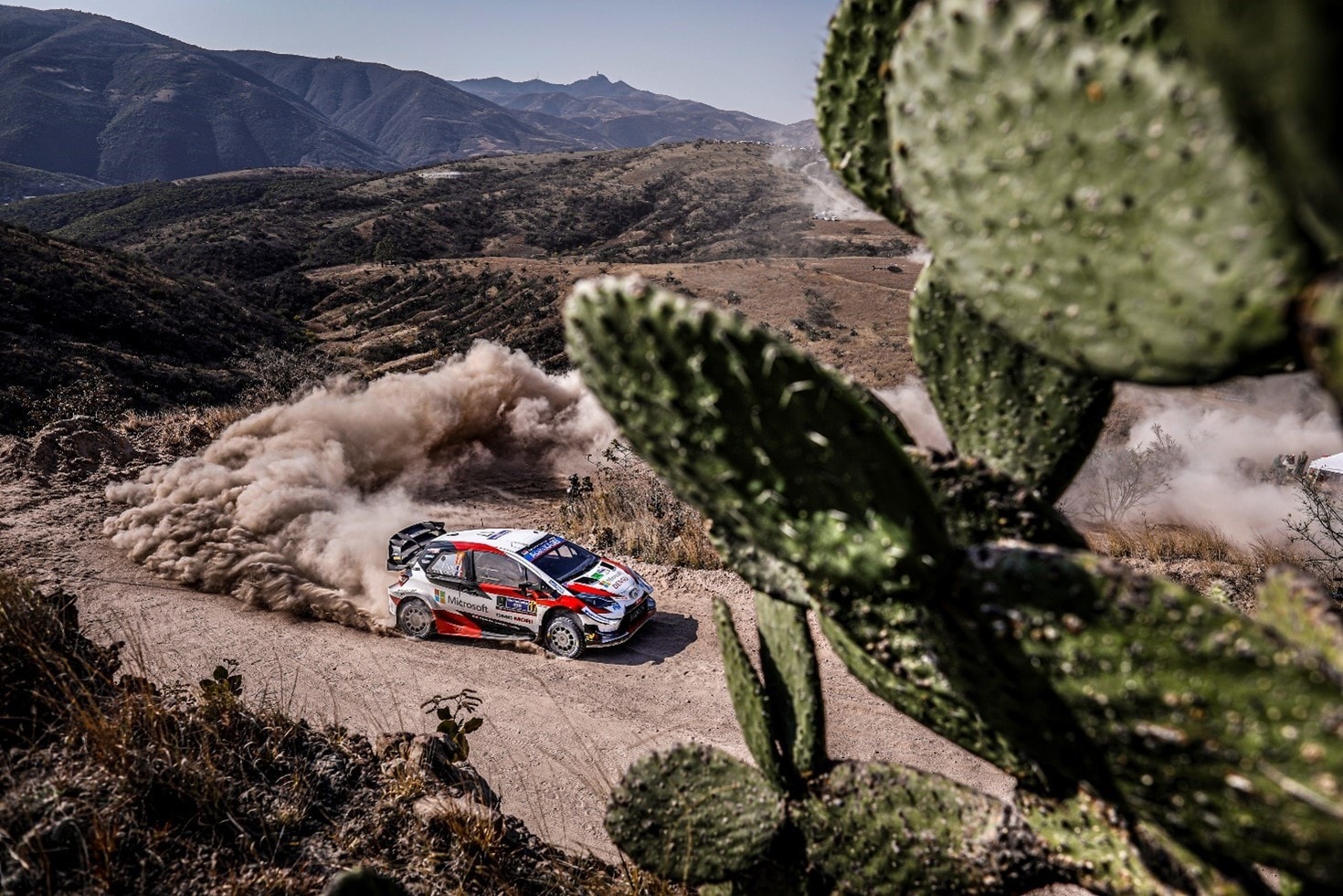 WRC, arriba Mexico!