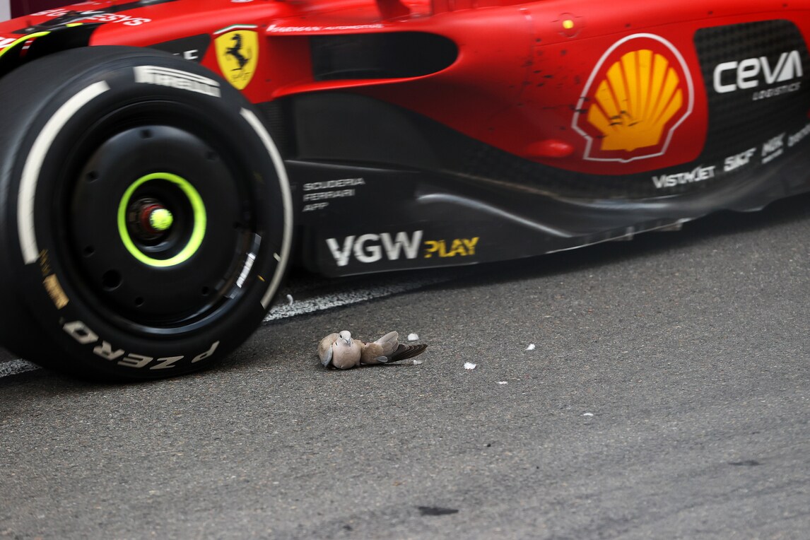 GP Monaco, le foto della gara nel Principato