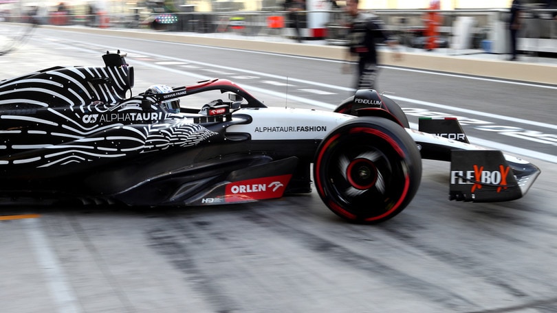 Ricciardo e Alphatauri, ricostruzione in comune: "Non è più un junior team"