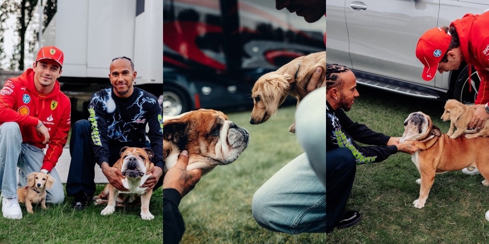 Leclerc ed Hamilton pazzi dei loro cagnolini: le foto fanno impazzire i social