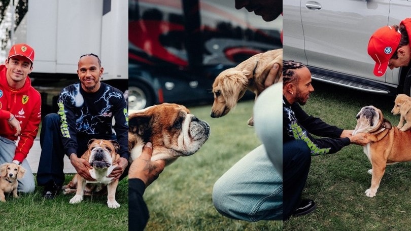 Leclerc ed Hamilton pazzi dei loro cagnolini: le foto fanno impazzire i social