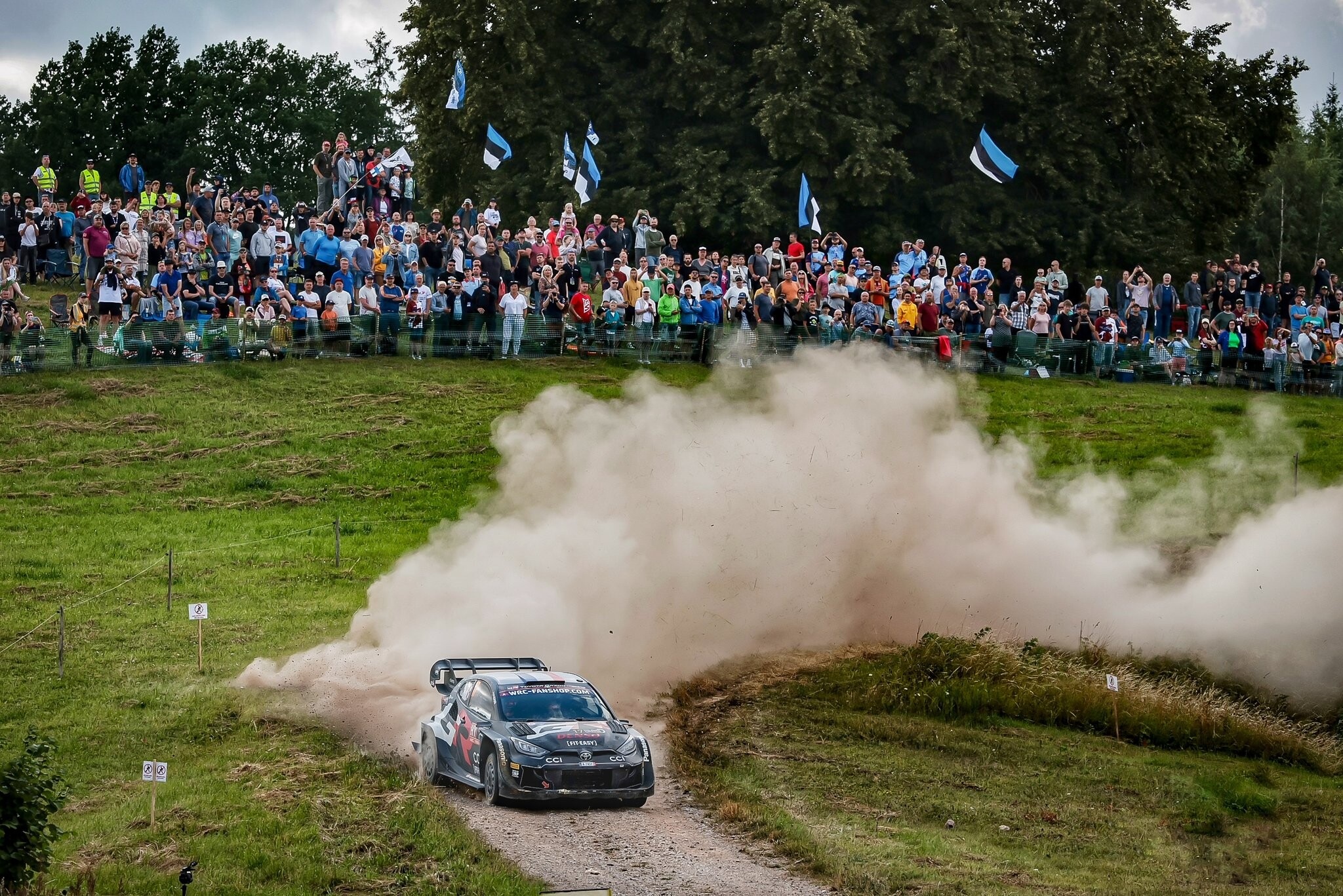 WRC, Rally Lettonia: Rovanpera vince e batte Ogier