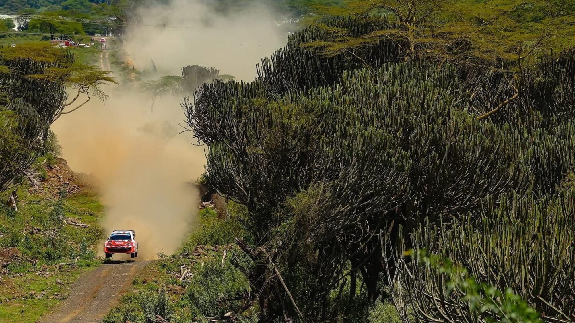 Solberg sempre leader al Safari