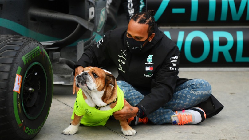 Hamilton ed il rinnovo: "Più lavoro da casa e più tempo per la famiglia"