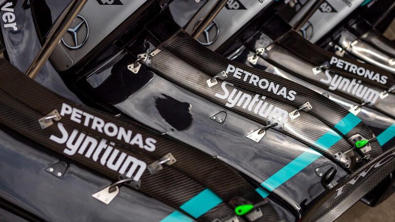 Problematiche da "porci" con le ali