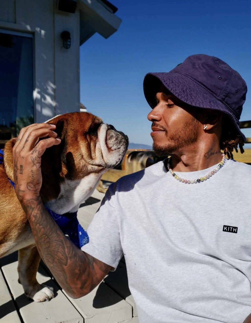 Tra gare e coccole: gli animali domestici dei piloti di F1