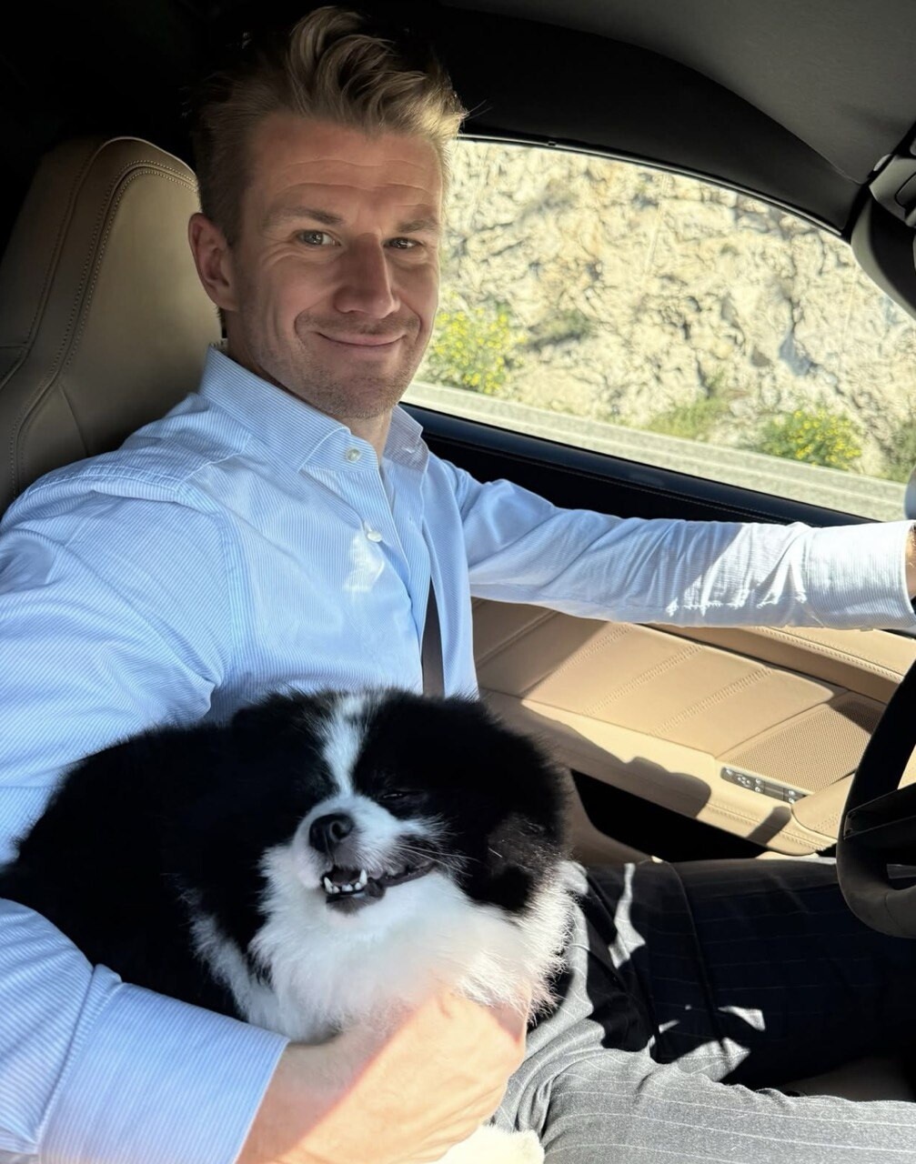 Tra gare e coccole: gli animali domestici dei piloti di F1