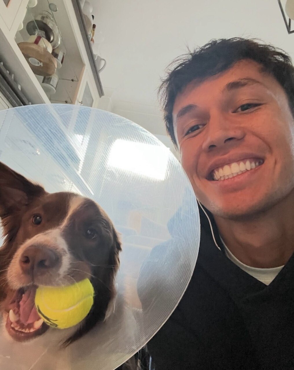 Tra gare e coccole: gli animali domestici dei piloti di F1