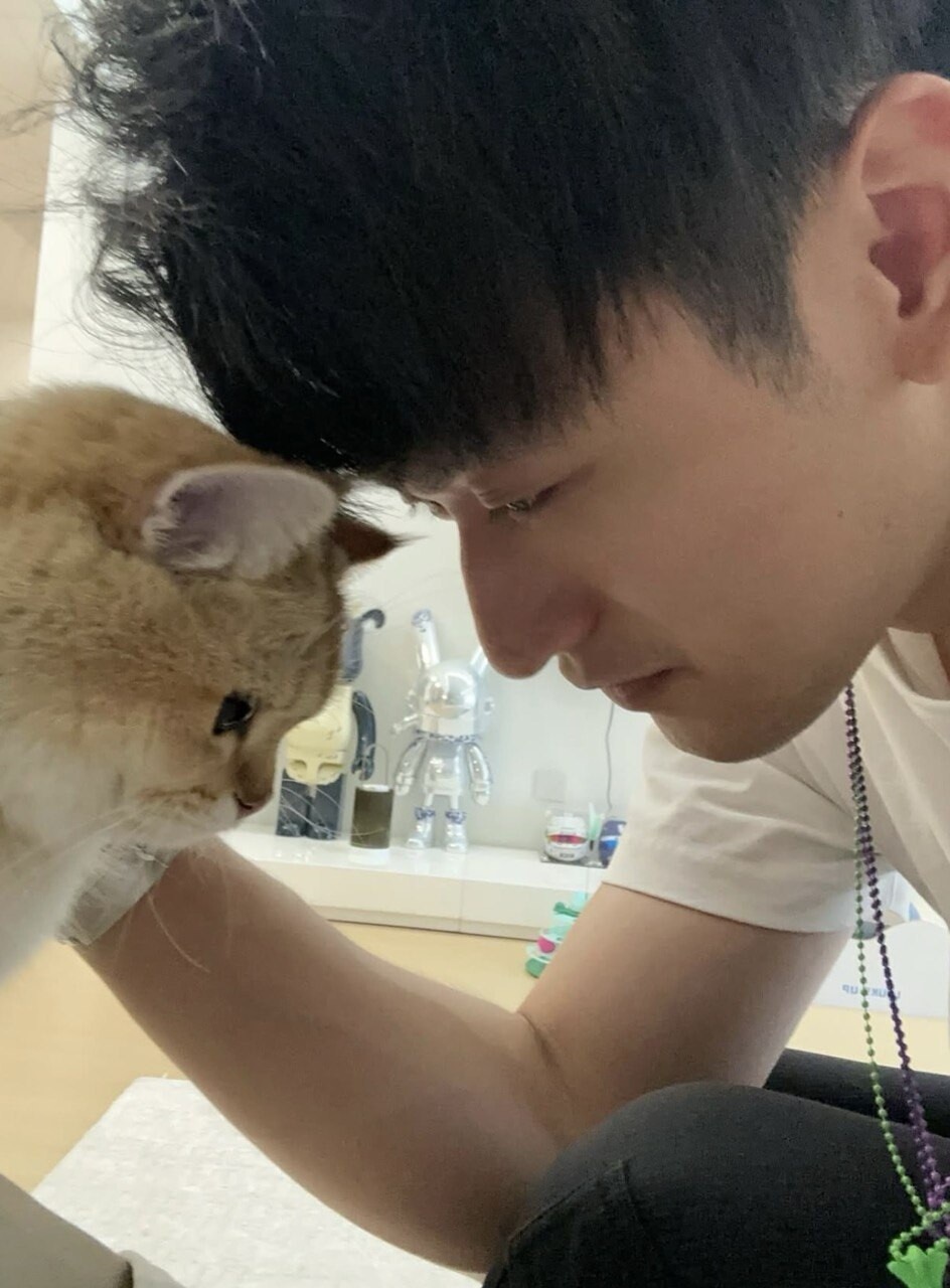 Tra gare e coccole: gli animali domestici dei piloti di F1