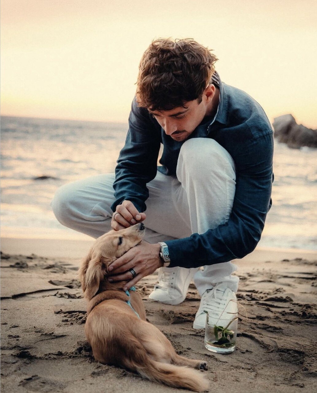 Tra gare e coccole: gli animali domestici dei piloti di F1