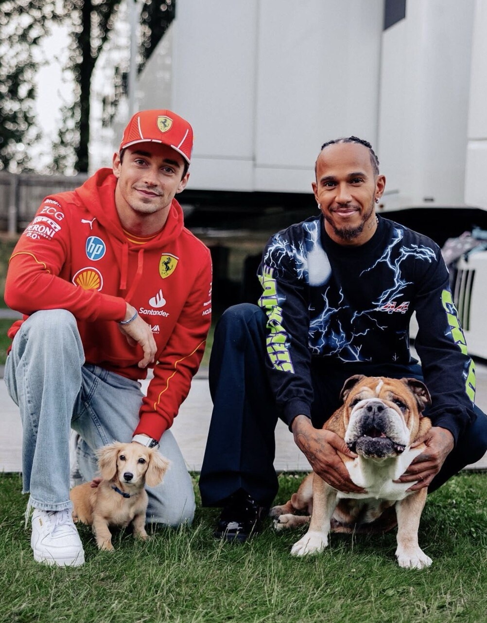 Tra gare e coccole: gli animali domestici dei piloti di F1