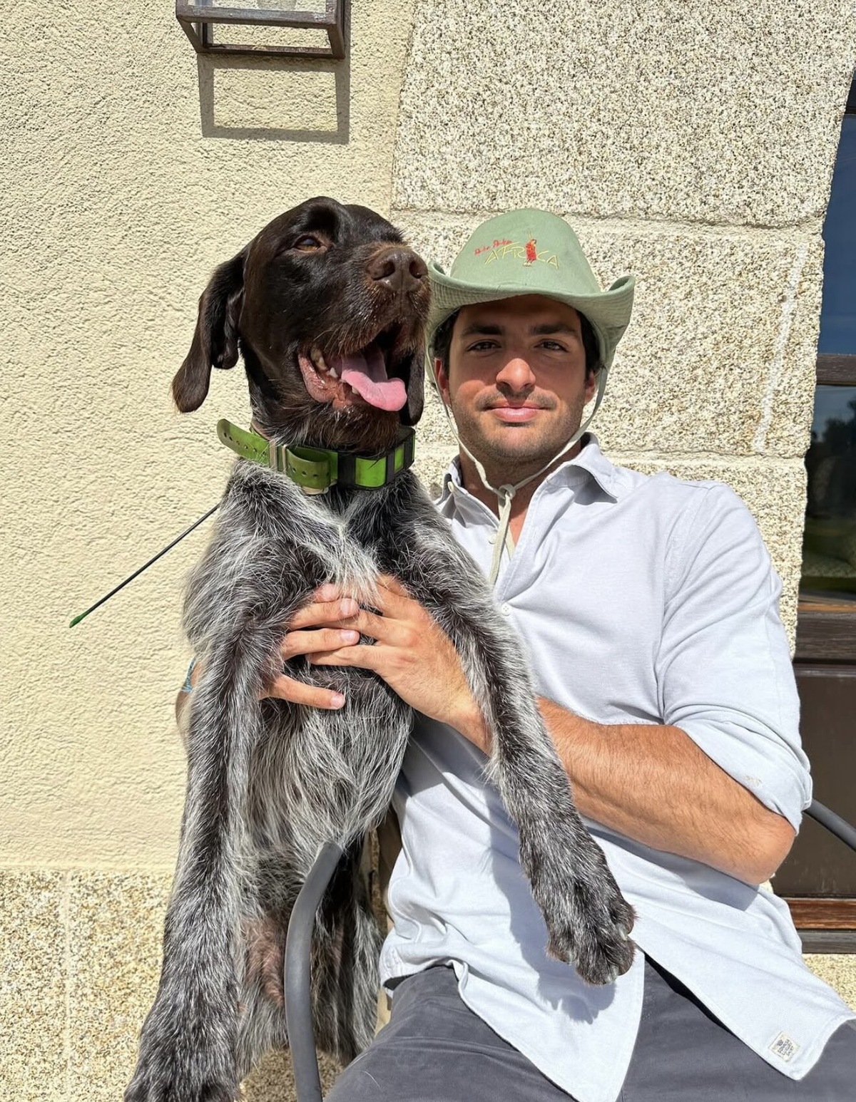 Tra gare e coccole: gli animali domestici dei piloti di F1