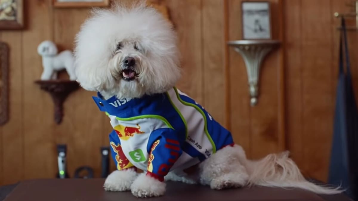 Dal ping pong con Hamilton al cane con la tuta da pilota: Miami è il vero show della F1