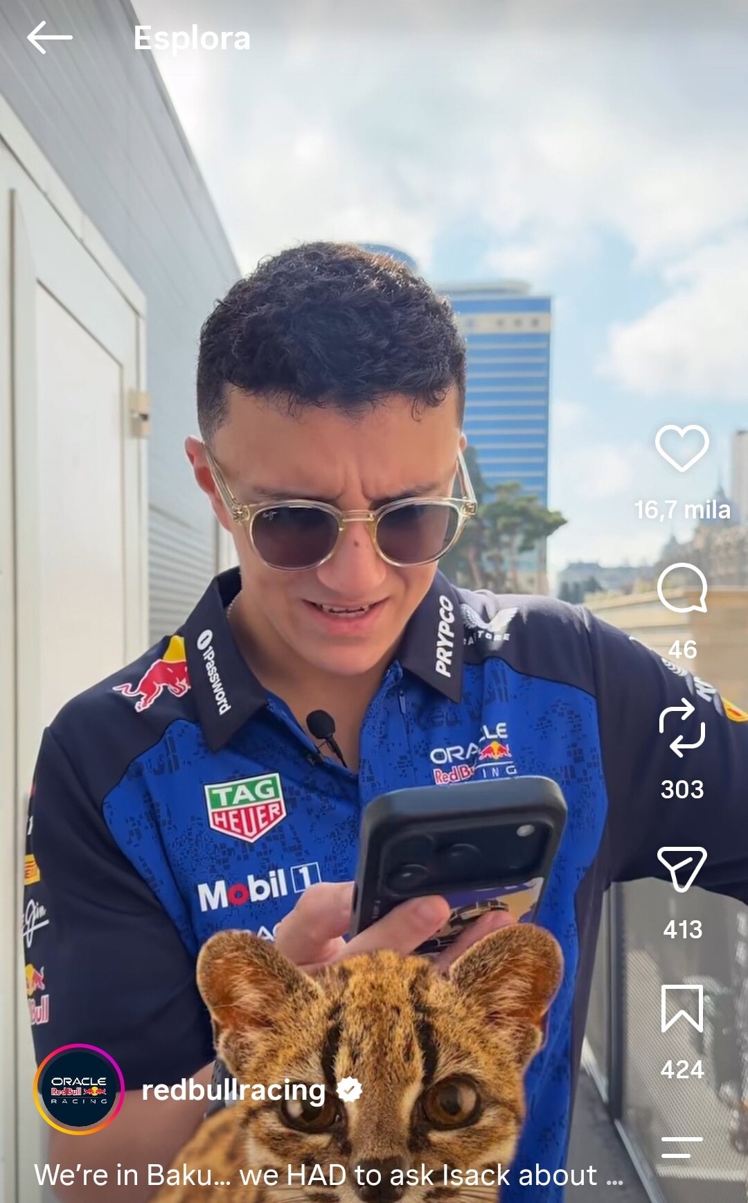 La Formula 1 impazzisce per i gatti di Baku