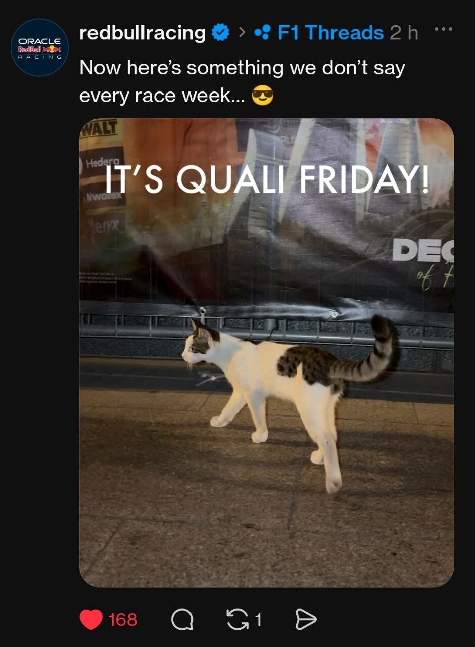 La Formula 1 impazzisce per i gatti di Baku