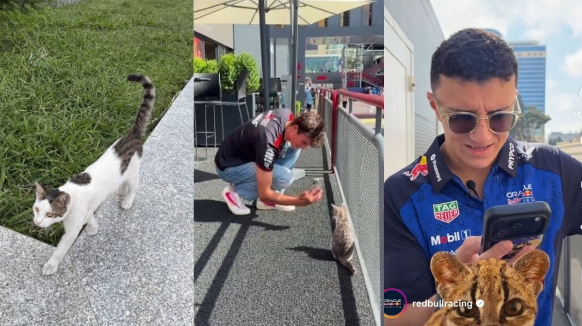 La Formula 1 impazzisce per i gatti di Baku