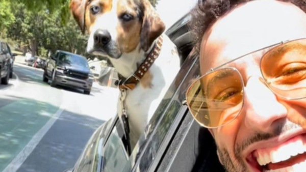 Daniel Ricciardo: scopri la sua super collezione privata di auto