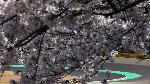 GP Giappone, FP1: Norris su Russell e le Ferrari