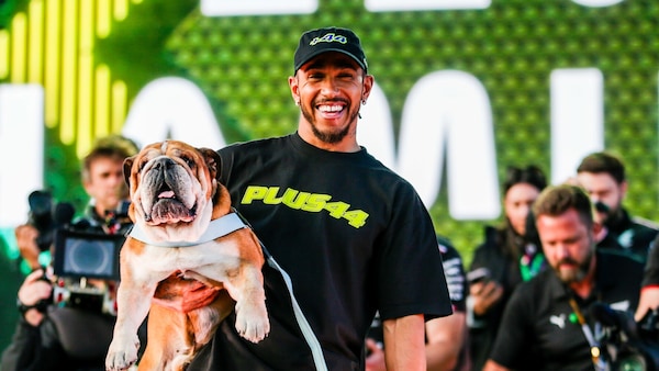 E ora stringi i denti Lewis!