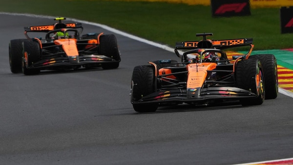 L'editoriale del direttore: Predatrice famelica