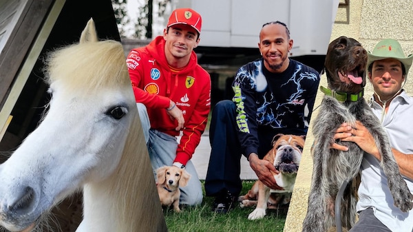 Tra gare e coccole: gli animali domestici dei piloti di F1