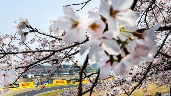 Suzuka in fiore: F1 tra velocità e magia giapponese