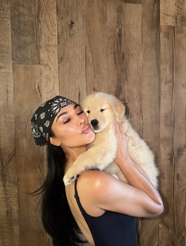 Hamilton ritrova il sorriso con Halo: la nuova cucciola conquista i social