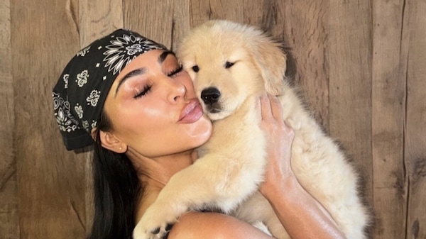 Hamilton ritrova il sorriso con Halo: la nuova cucciola conquista i social